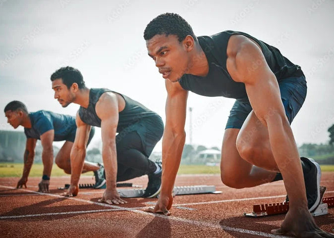 system_biology.2 ARTICLE ON VITAMINS AND MINERALS